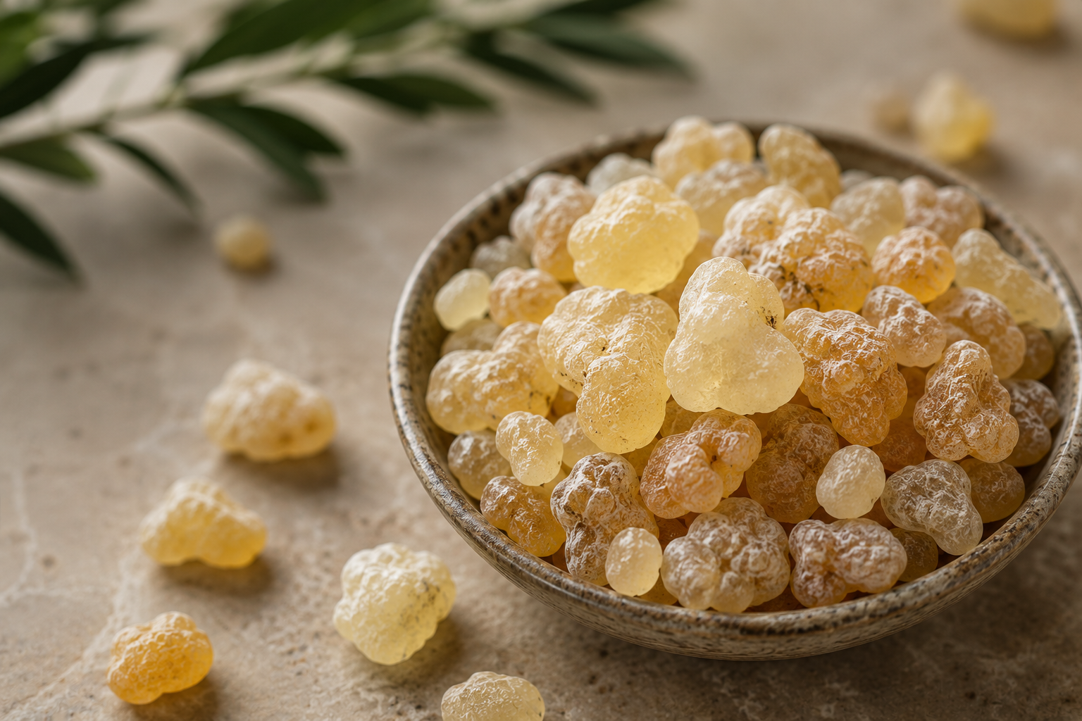 Omani frankincense resin used in YINN Chinese blended incense