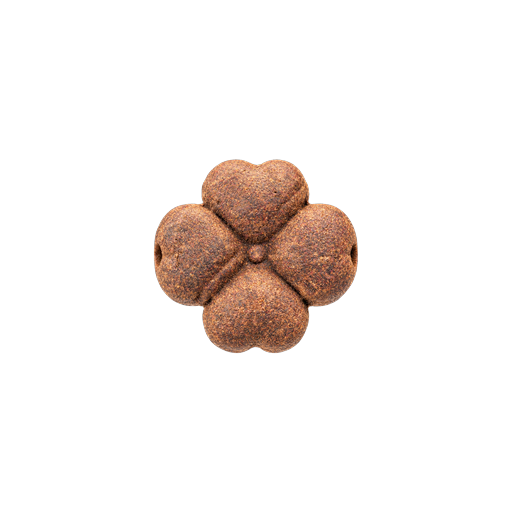 YINN Wear - Aromatic Beads