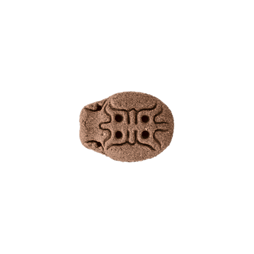 YINN Wear - Aromatic Beads